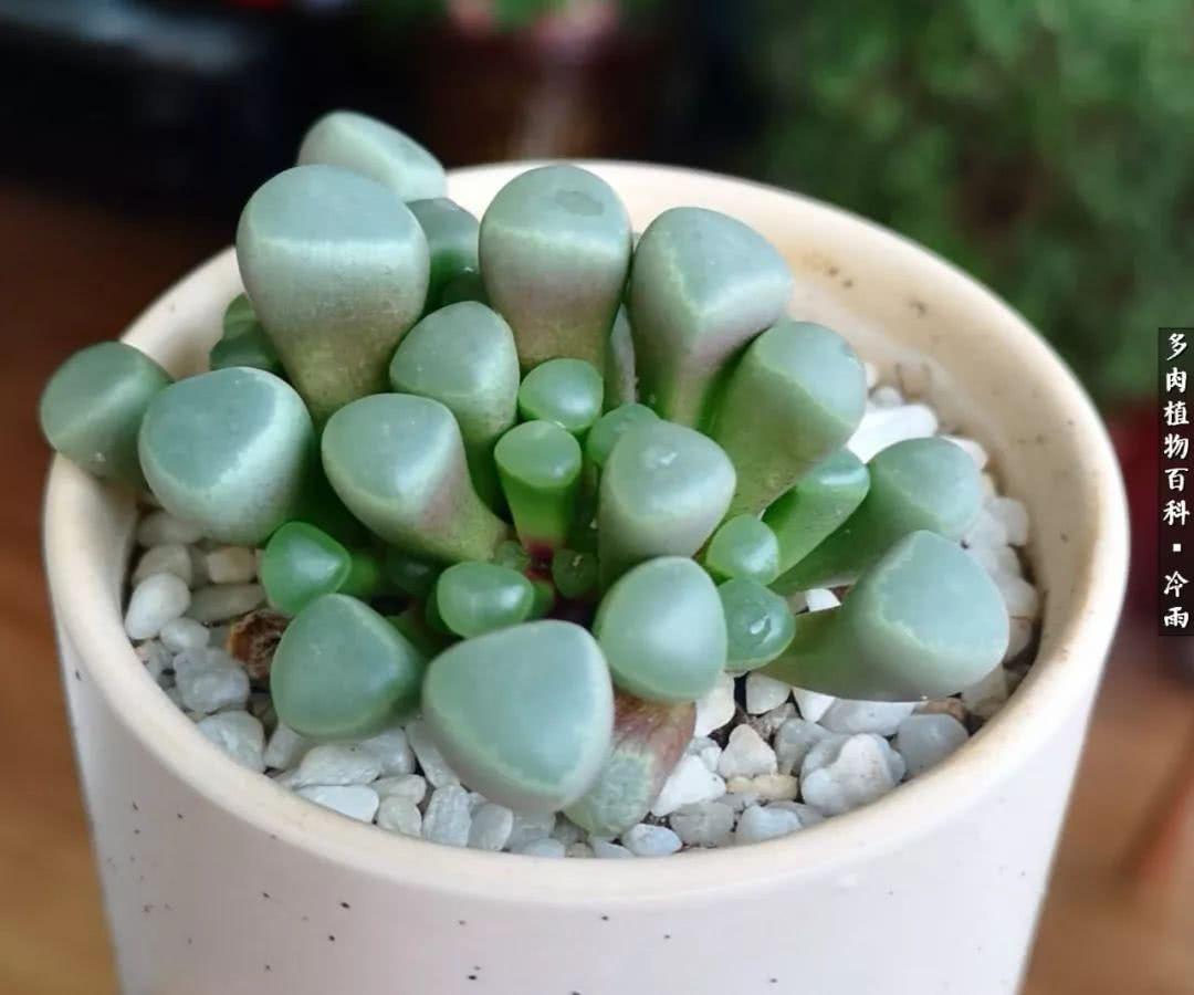 儿童教育 第379页