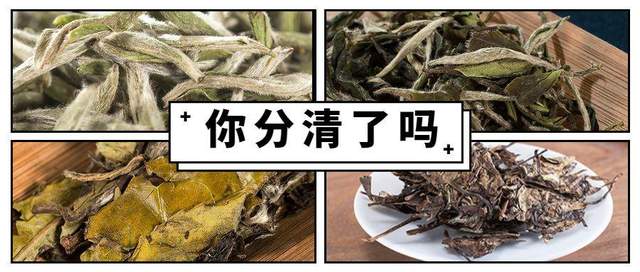 旭阳教育特训学校 第185页