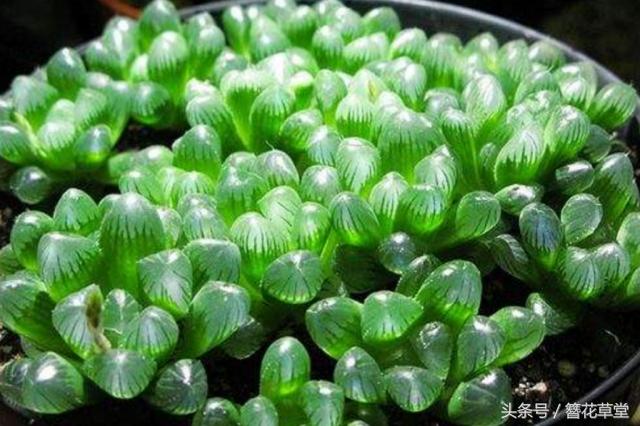儿童教育 第108页
