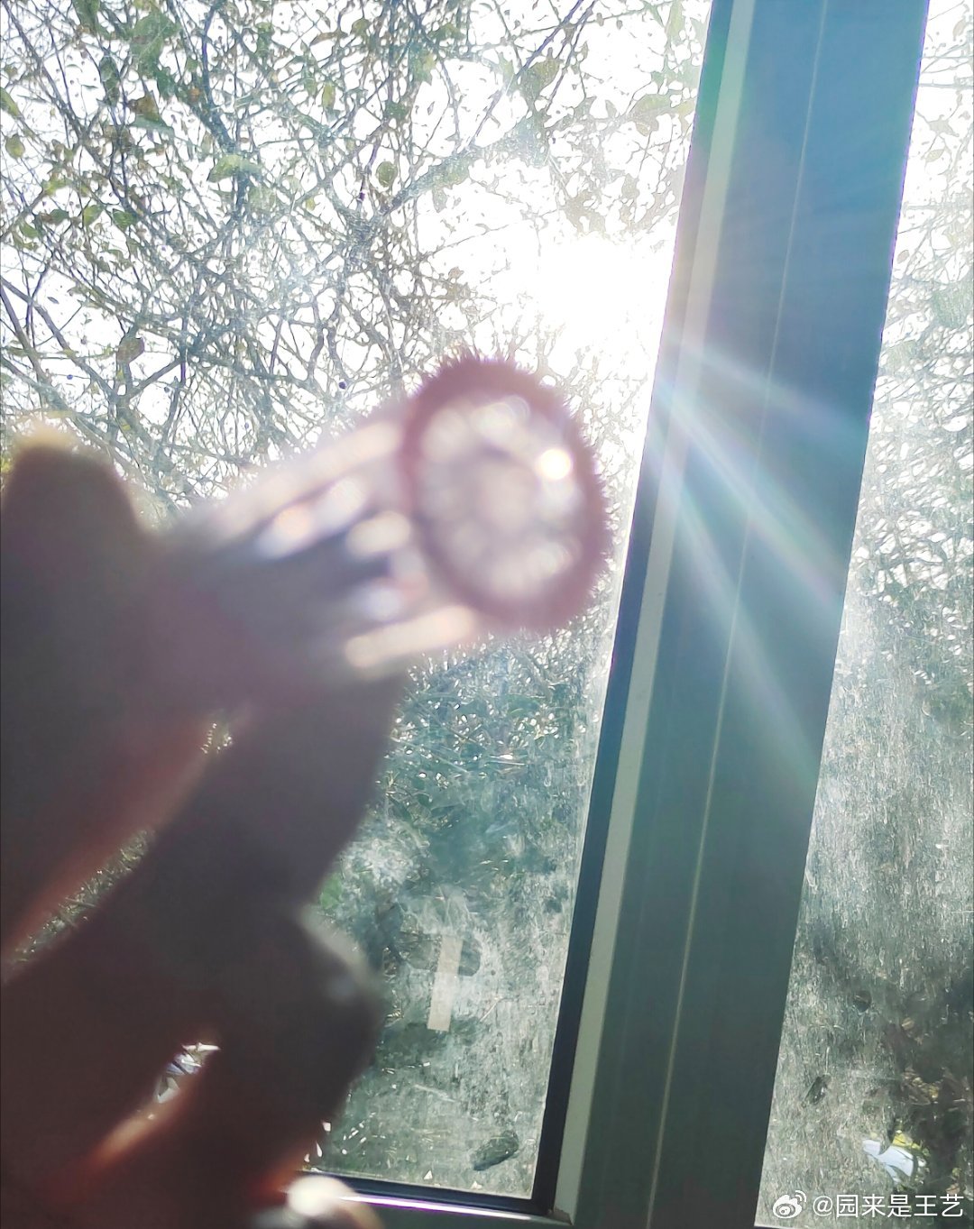 儿童教育 第45页