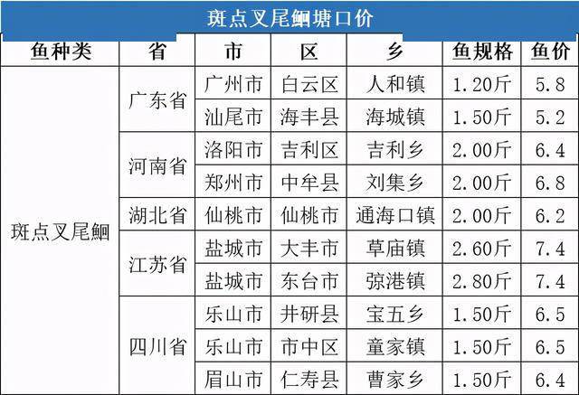 重庆旭阳教育 第19页