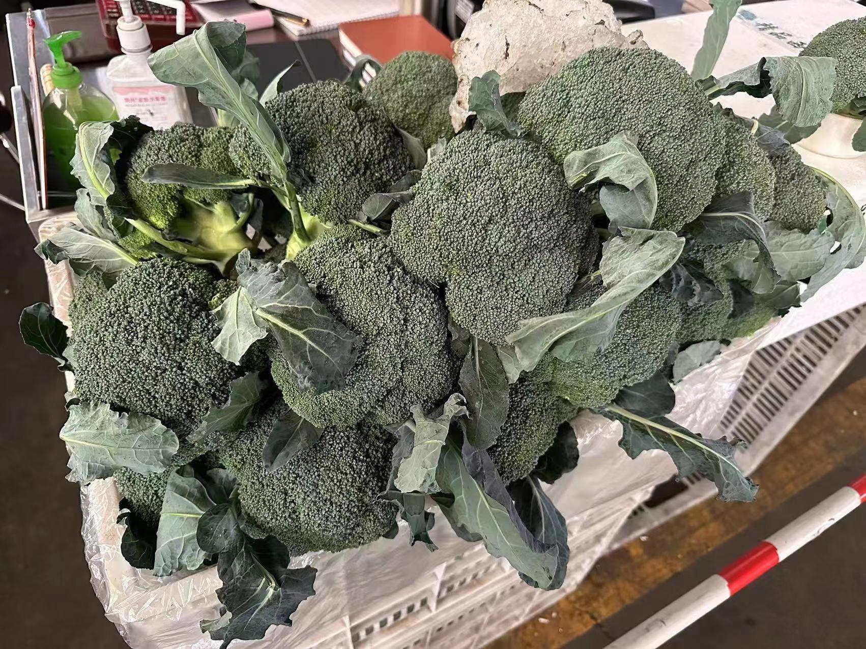 重庆旭阳教育 第17页